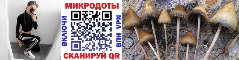 MEGA сайт Тимашёвск Псилоцибиновые грибы прущие грибы